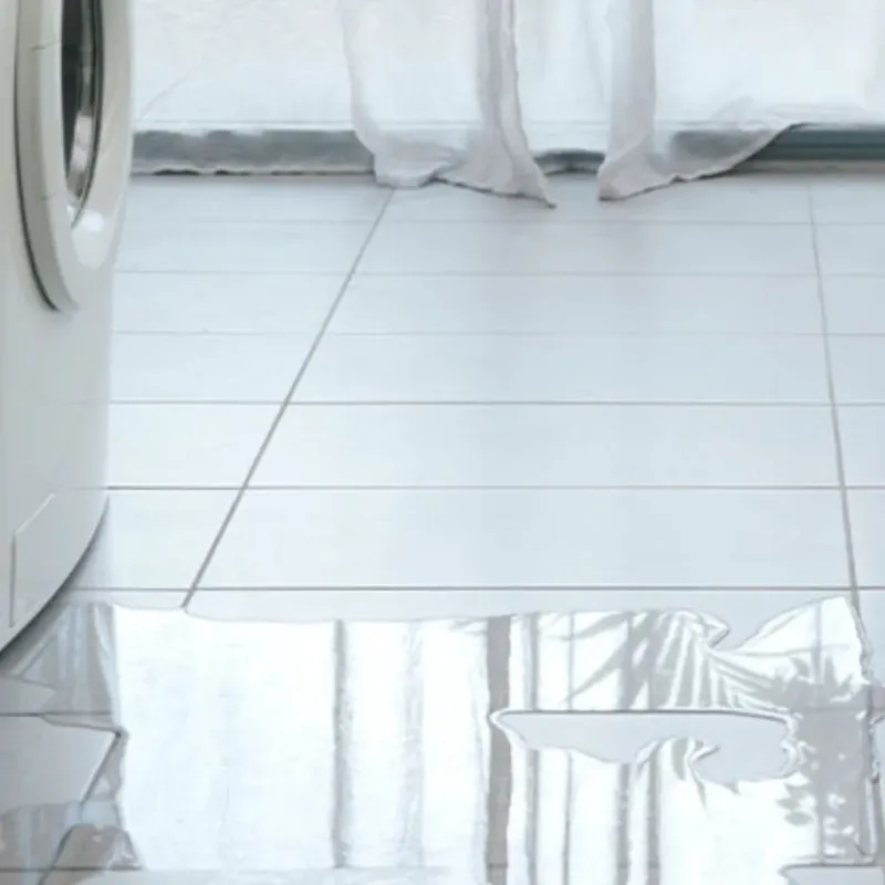 Appliance Leak Cleanup in Monona County, IA