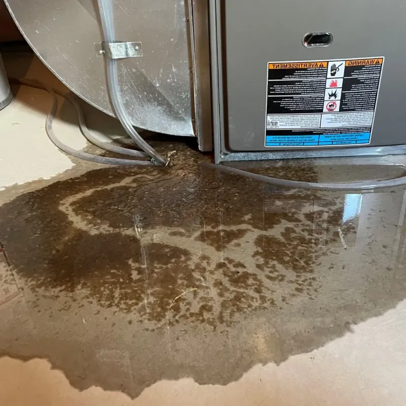 Pipe Burst and Leak Restoration in Monona County, IA