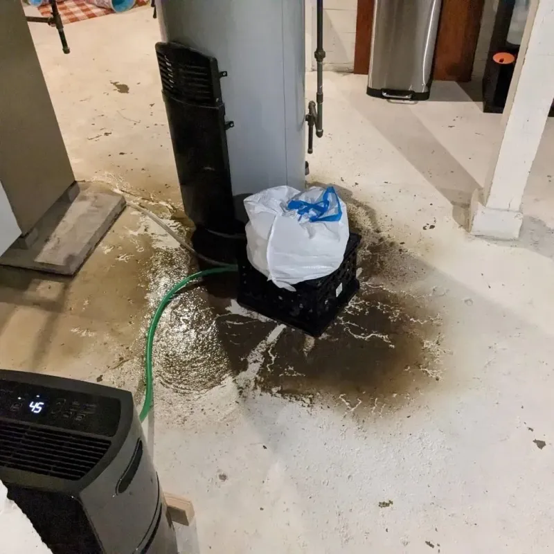 Sewage Backup Cleanup Service in Monona County, IA